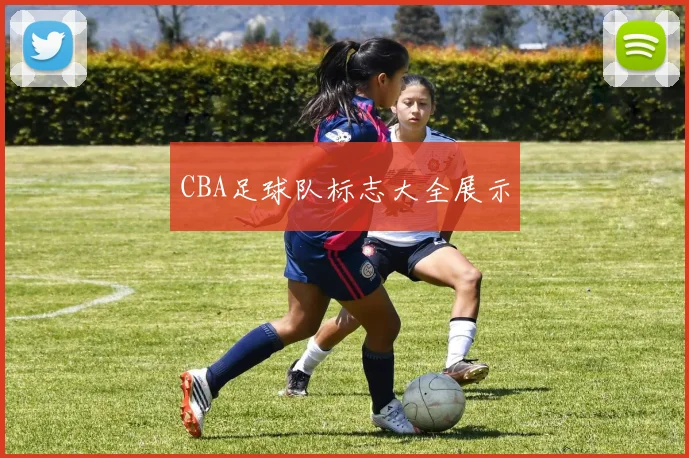 CBA足球队标志大全展示