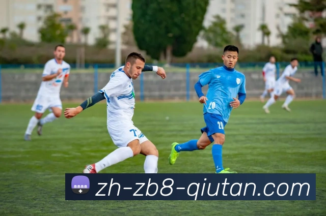 火箭队直播插件安装教程及观看指南